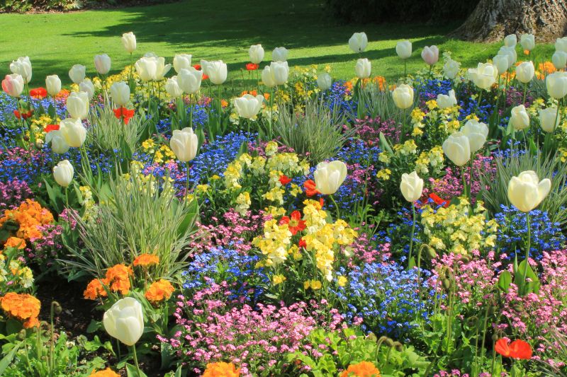 Budget-Smart Upgrades