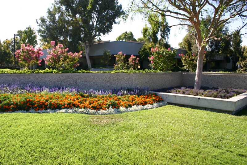 Flower beds in early spring