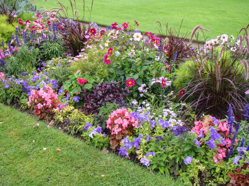 Healthy flower beds after planting